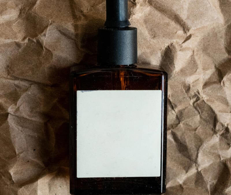 Les élections en 2024